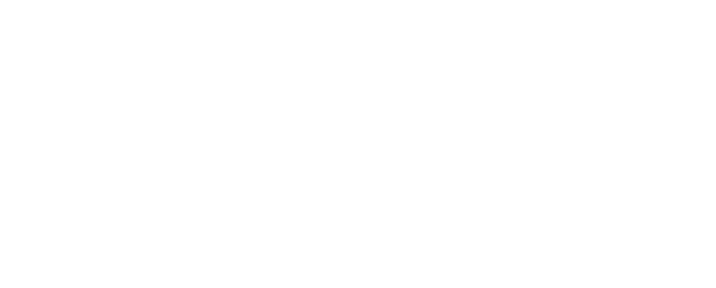 Alten-Akademie Nürnberg e.V. Logo